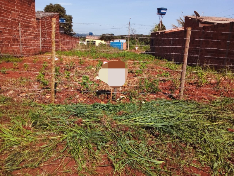 Lote setor são Bernardo,  caminho de Goianira